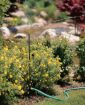 Picture of Telescoping High Rise Brass 3-Arm Sprinkler with Step Spike