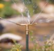 Picture of Telescoping High Rise Brass 3-Arm Sprinkler with Step Spike