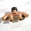Picture of Brass Hose Manifold