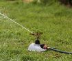 Picture of Click & Go Metal Impact Sprinkler Head