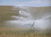 Senninger-Pivot-Master®Impact Sprinklers-4205