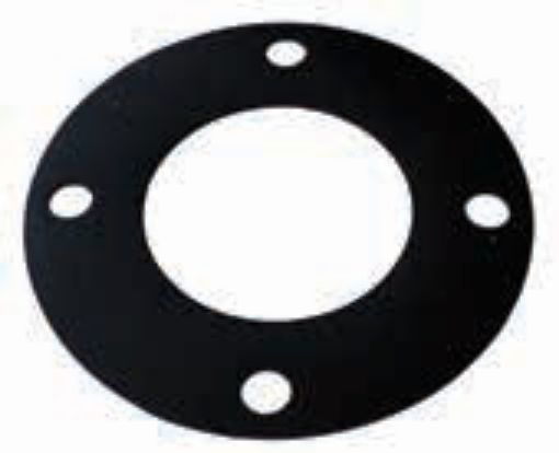 AAP Industries Natural Rubber Insertion Gaskets (Table D)-1