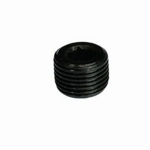 AAP Industries PEAL® Black Mild Steel Socket Head Plug-1