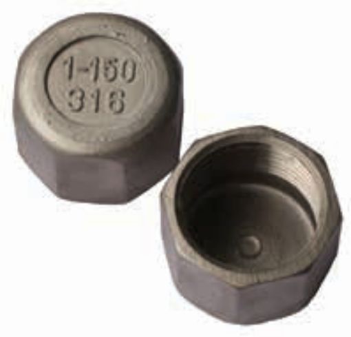 AAP Industries Stainless Steel Caps-1