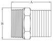 AAP Industries Stainless Steel Hose Nipple-2