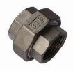 AAP Industries Stainless Steel F/F Unions-1