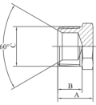 AAP Industries PEAL® Hydraulic Plug BSPT-2