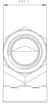 AAP Industries PEAL® Hydraulic Elbow BSPT-2