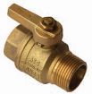 AAP Industries DR M/F Brass Ball Valve C/W T Handle-1