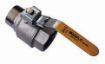 AAP Industries Gas Brass Lockable Ball Valve M/F-2