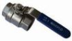 AAP Industries Stainless Steel Ball Valve (2 PCE) - Maxiflo-1
