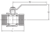 AAP Industries Stainless Steel Ball Valve (2 PCE) - Maxiflo-2