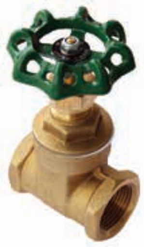 AAP Industries DR Brass Approved Gate Valve - A59M-1