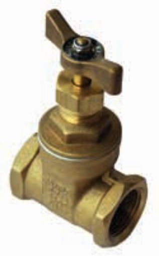 AAP Industries DR Brass Approved Gate Valve - A59M (T - Lever)-1