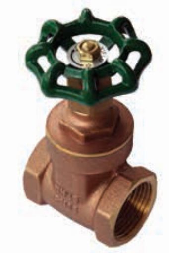 AAP Industries General Purpose Brass Gate Valve-1