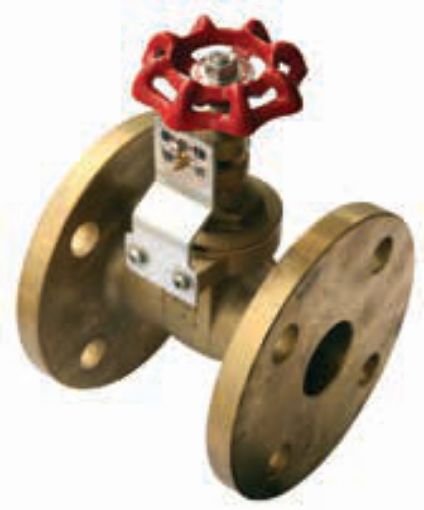 AAP Industries Brass Flanged Gate Valve-1