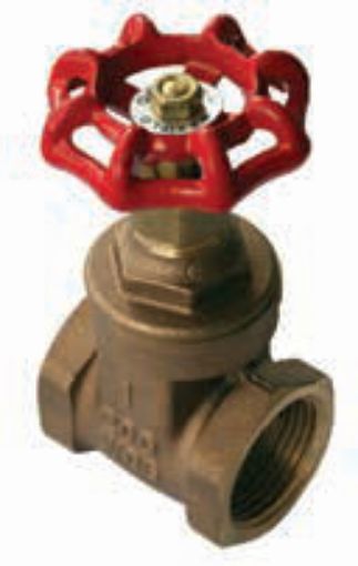 AAP Industries Bronze Screwed Gate Valve-1