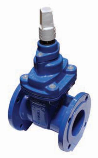 AAP Industries Resilient Seat Gate Valve Anti-Clockwise Table C-2