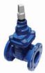 AAP Industries Resilient Seat Gate Valve Anti-Clockwise Table E-1