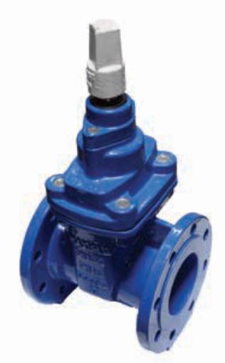 AAP Industries Resilient Seat Gate Valve Anti-Clockwise Table E-1