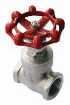 AAP Industries Stainless Steel Gate Valve-1