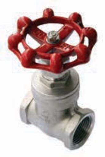 AAP Industries Stainless Steel Gate Valve-1