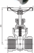 AAP Industries Stainless Steel Gate Valve-2