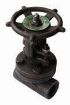 AAP Industries Forged Steel Gate Valve Class 800 NPT-1
