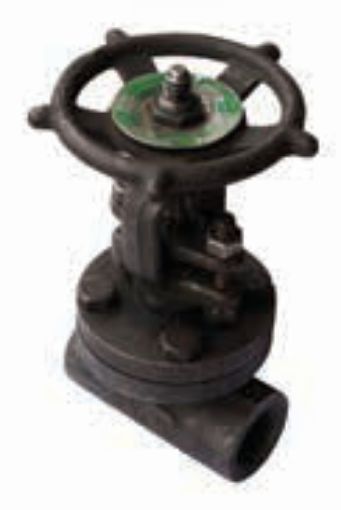 AAP Industries Forged Steel Gate Valve Class 800 NPT-1