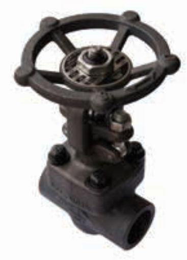 AAP Industries Forged Steel Gate Valve Class 800 (Socketweld)-1