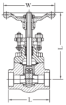 AAP Industries Forged Steel Gate Valve Class 800 (Socketweld)-2