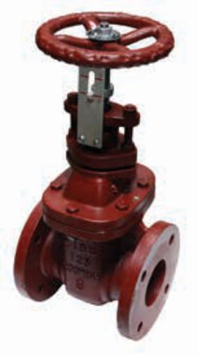 AAP Industries Cast Iron Flanged Solid Wedge Disc Gate Valve Non- Rising Stem (Table D)-1