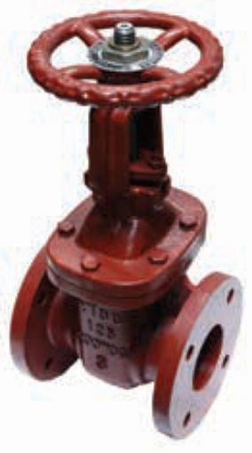 AAP Industries Cast Iron Solid Wedge Disc Gate Valve - Rising Stem (Table E)-1