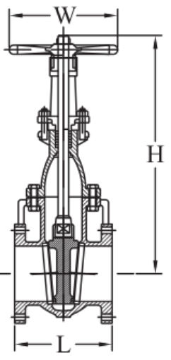AAP Industries Cast Iron Solid Wedge Disc Gate Valve - Rising Stem (Table D)-1