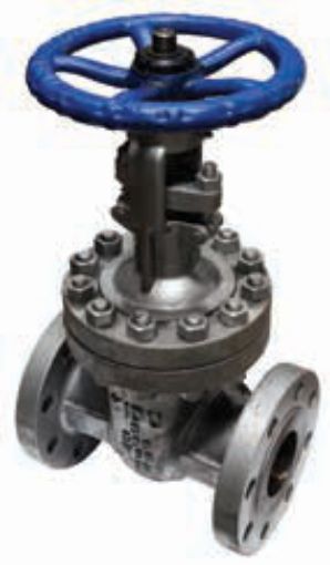 AAP Industries-AAP Industries Cast Steel Flanged Gate Valves ANSI 150-7218