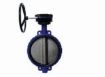 AAP Industries Wafer Butterfly Valve with Gear-Op-1