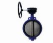AAP Industries Wafer Butterfly Valve with Gear-Op and Stainless Steel Disc-1