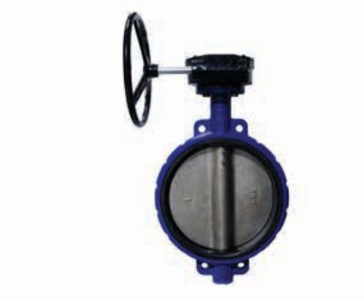 AAP Industries Wafer Butterfly Valve with Gear-Op and Stainless Steel Disc-1