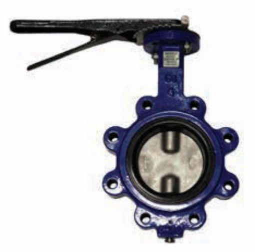 AAP Industries Lugged Butterfly Valve-1