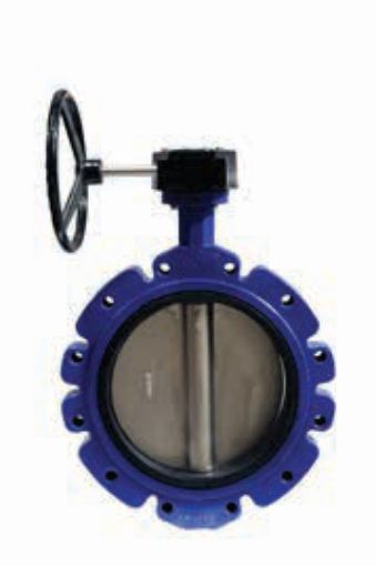 AAP Industries Lugged Butterfly Valve with Gear-Op-1