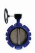AAP Industries Lugged Butterfly Valve with Gear-Op and Stainless Steel Disc-1