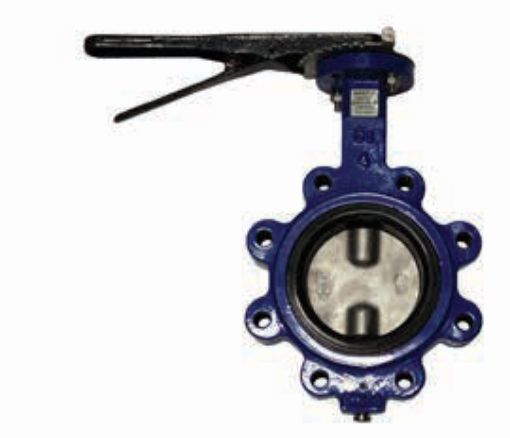 AAP Industries Lugged ANSI 150 Butterfly Valve-1