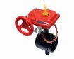 AAP Industries Roll Groove Butterfly Valve (for indoor use)-1