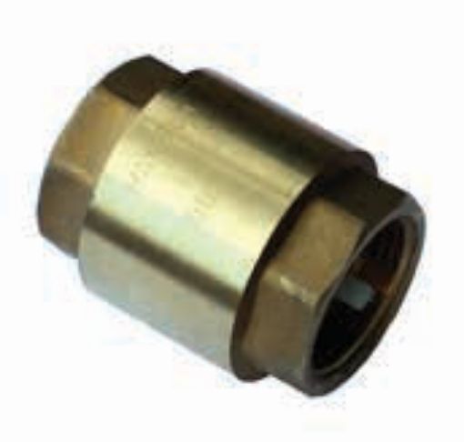 AAP Industries ‘E’ type Check Valve-1