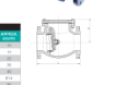 AAP Industries Resilient Seat Flanged Swing Check Valve (Table E)-2