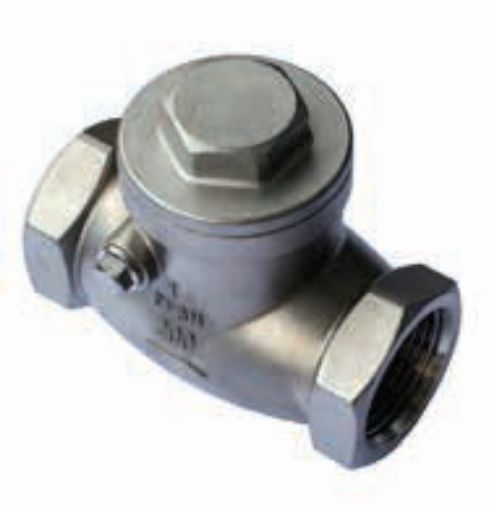 AAP Industries Stainless Steel Check Valve-1