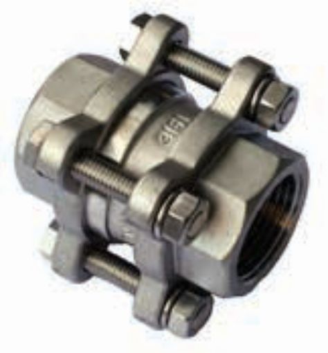 AAP Industries Stainless Steel 3 Piece Spring Check Valve-1