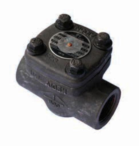 AAP Industries Forged Steel Piston Check Valve Class 800 NPT-1