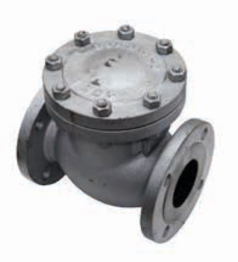 AAP Industries Cast Steel Flanged Check Valve ANSI 300-1