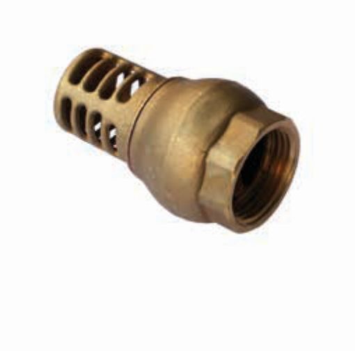 AAP Industries Brass Foot Valve-1